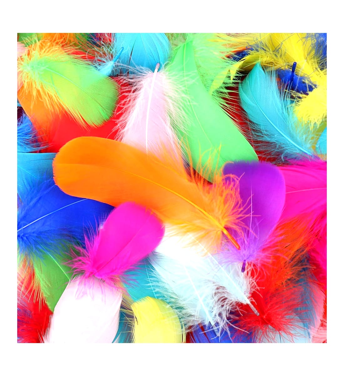 Colorful Natural Craft Thin Feathers – 2-3 Inches, Multicolor Feather Pack for DIY Art, Wedding, Jewelry & Home Decorations view 2