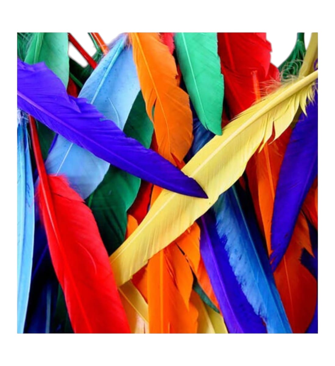 Colorful Natural Craft Feathers – 3-4 Inches, Multicolor Feather Pack for DIY Art, Wedding, Jewelry & Home Decorations view 2