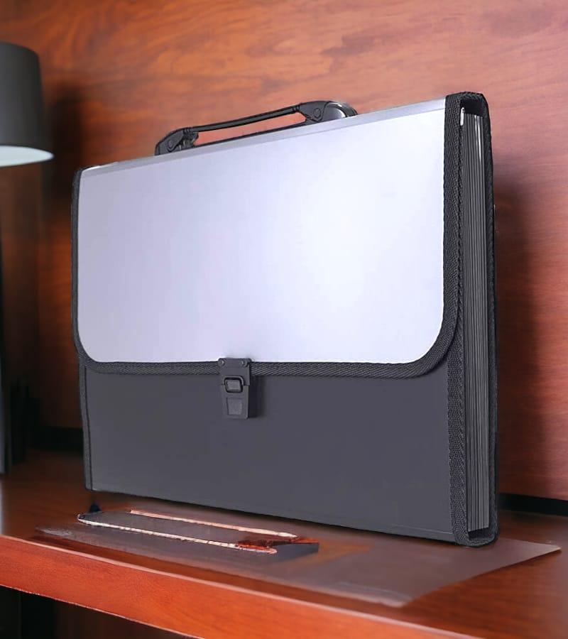 12-Pocket Expanding File Folder with Handle and Buckle Closure - Silver | A4 Size Document Organizer view 3