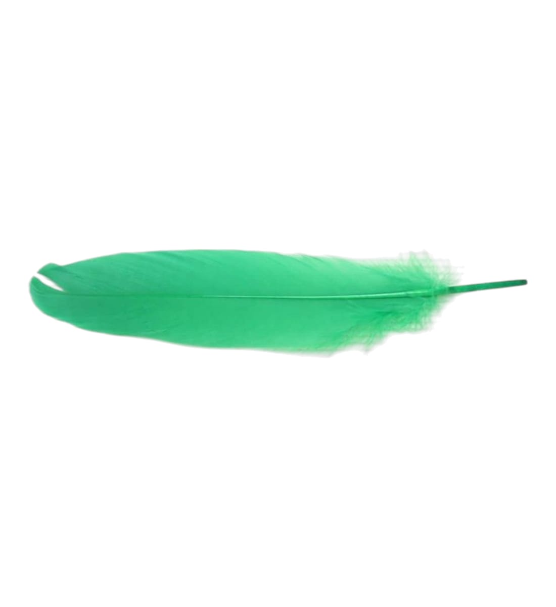 Colorful Natural Craft Thin Feathers – 2-3 Inches, Multicolor Feather Pack for DIY Art, Wedding, Jewelry & Home Decorations view 6
