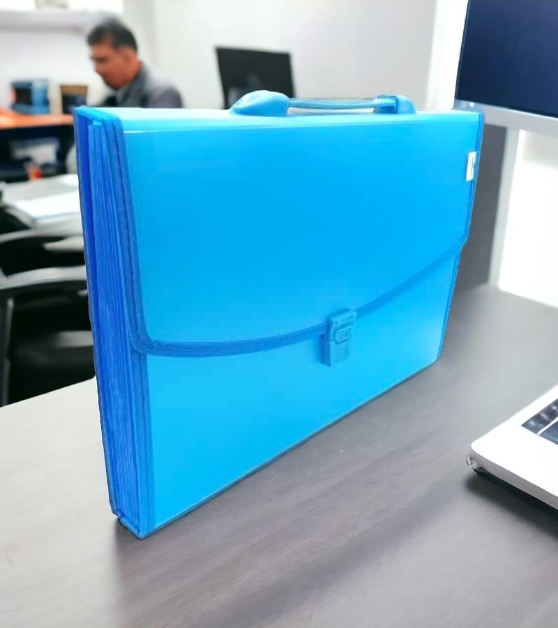 12-Pocket Expanding File Folder with Handle and Buckle Closure - Sky Blue| A4 Size Document Organizer view 4