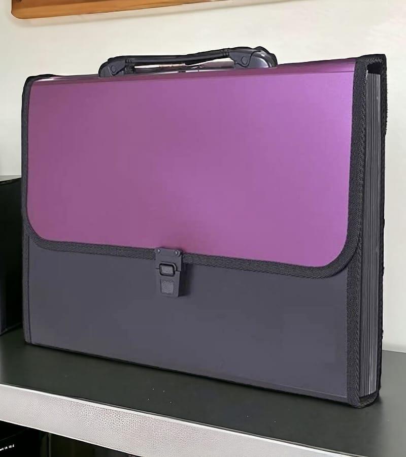 12-Pocket Expanding File Folder with Handle and Buckle Closure - Maroon | A4 Size Document Organizer view 5