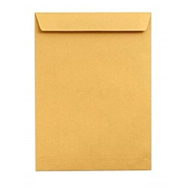 A4 Size Yellow Laminated Envelopes for Secure Mailing – Seal Document Courier Covers, 100 GSM Durable Paper Envelope Pouches for Office and Home Use, Poly Lined, 10x12 Inches | Pack of 10
