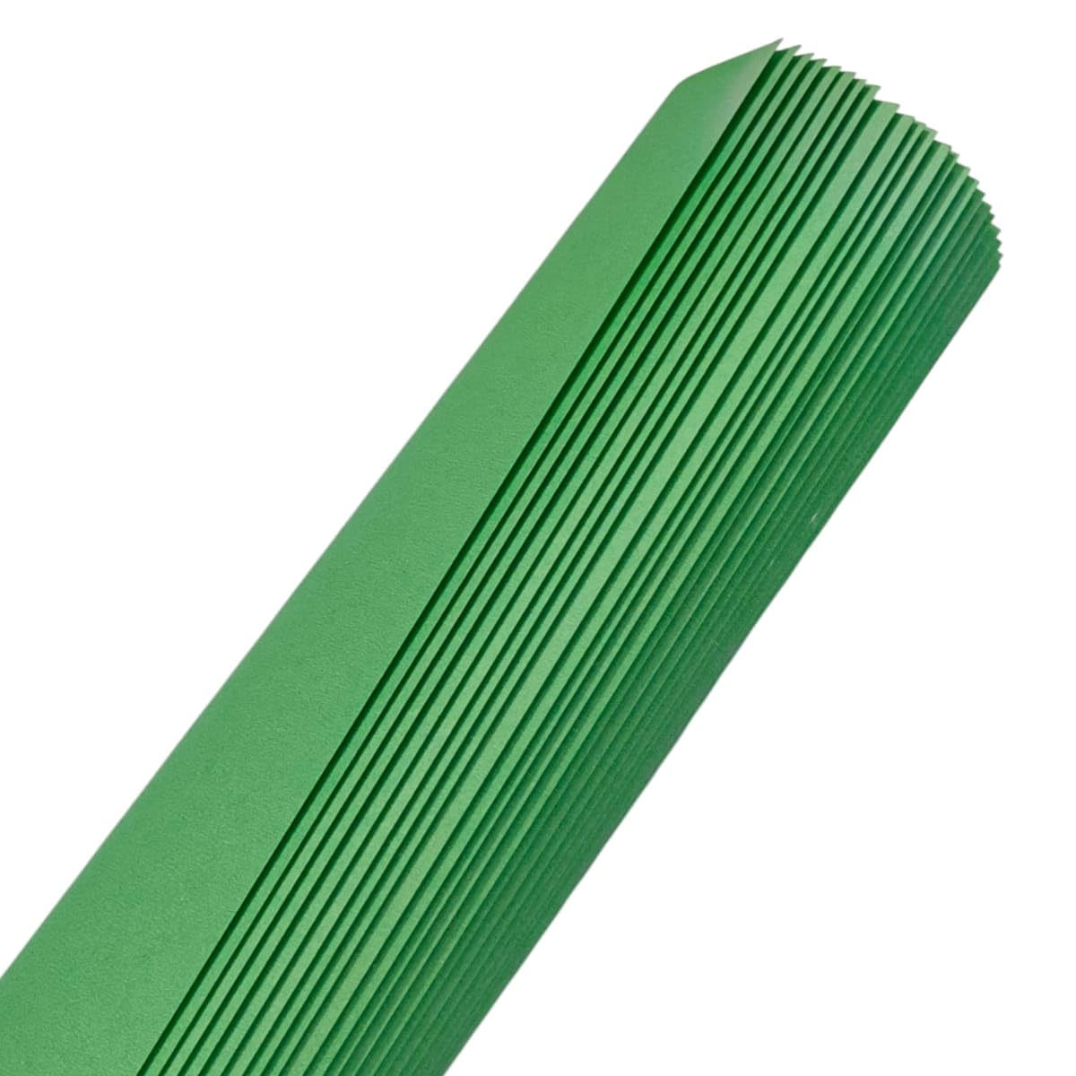 Parrot Green Chart Paper |Set of 10 | A1 Size | Pastel Sheet | 220 GSM Paper | Unruled Paper | Art and Craft Material