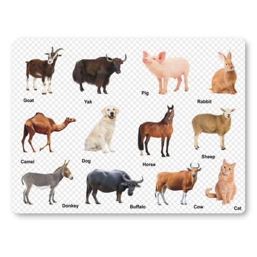 Toyz Villa Early Educational Colorful Domestic Animals Printed Puzzle Learning Board for Kids